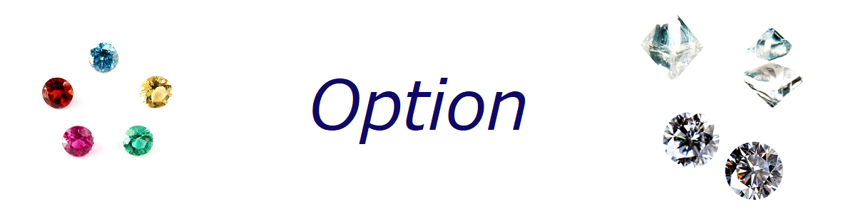 自由にカスタマイズできるオプションのご紹介です。